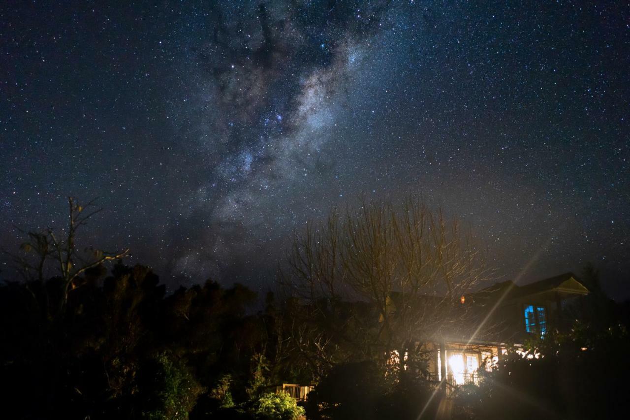 Georges Bnb Nature And Lifestyle Retreat ニュープリマス エクステリア 写真